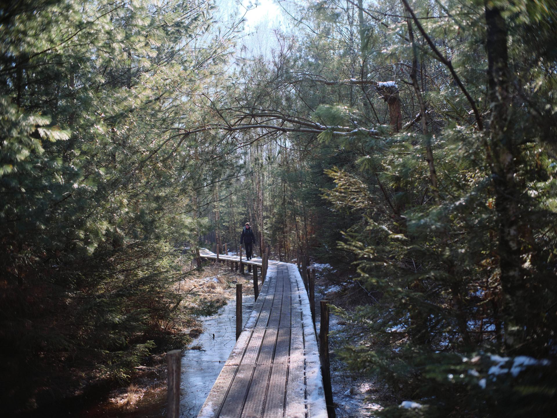 Generieke afbeelding van de huidige regio slide